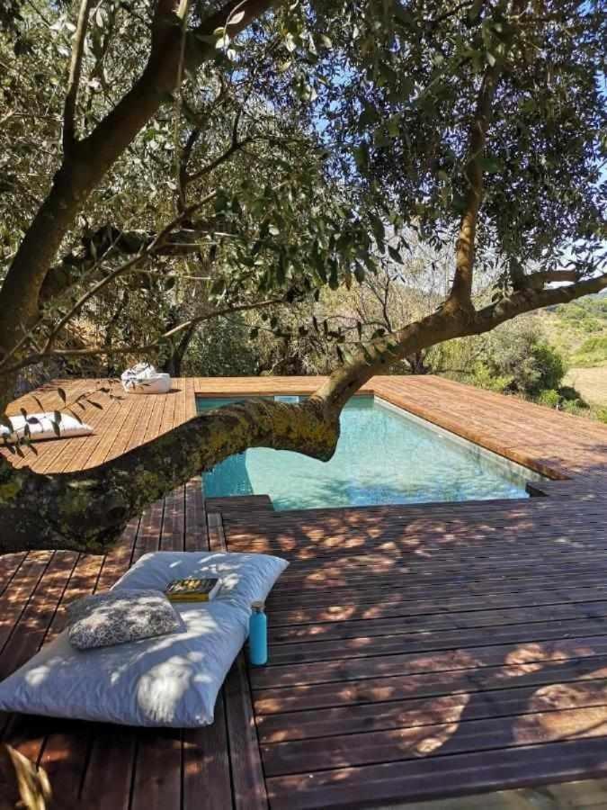 Biovilla Sustentabilidade Палмела Екстер'єр фото